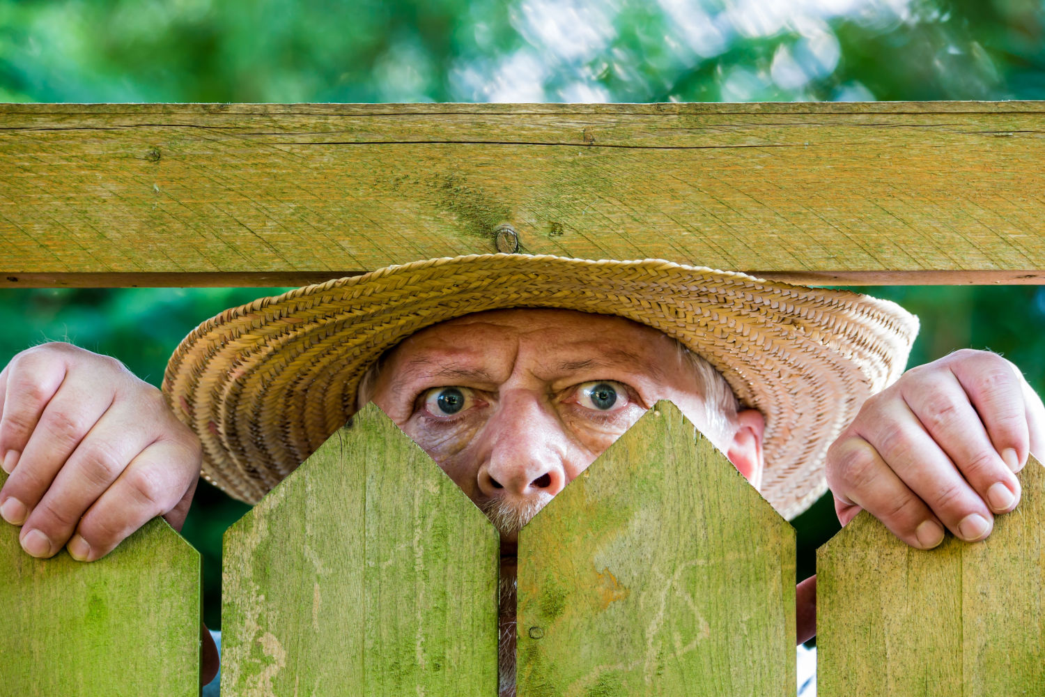 11 Cheap Ways to Block Neighbors View: DIY Privacy Fence Ideas