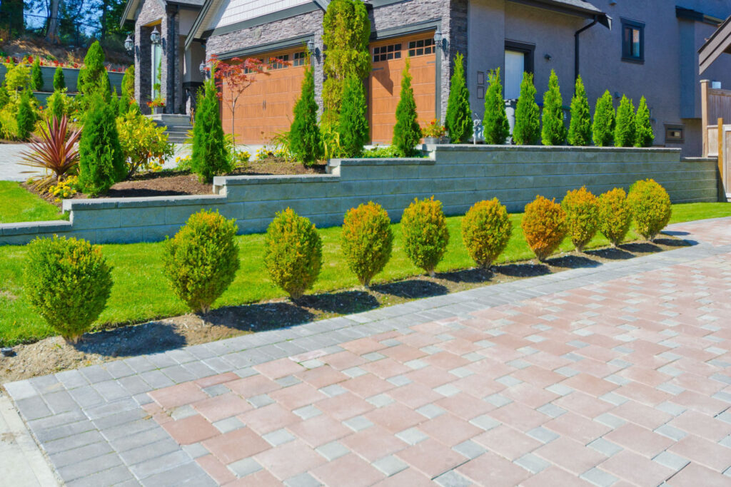 Driveway Landscaping With Arborvitae