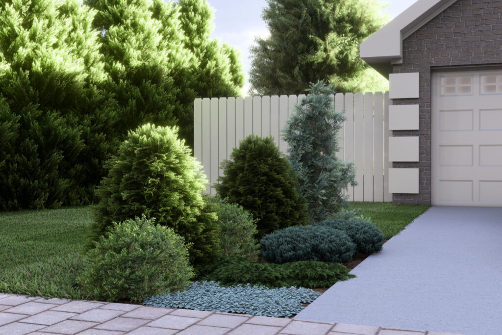 Driveway Entry Landscaping with Evergreens