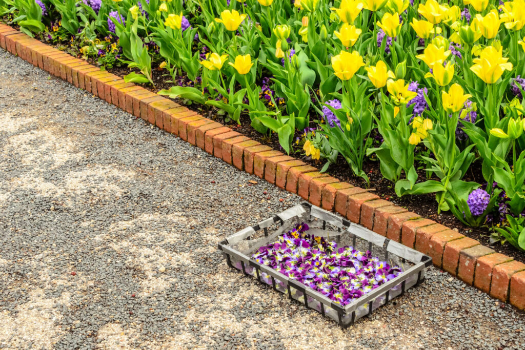 Driveway Hardscaping On A Budget