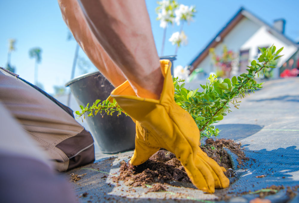 How To Install Weed Blocking Flower In Flower Bed